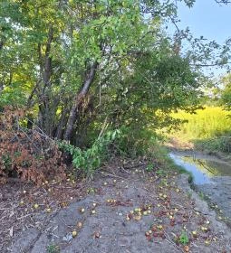 Szent István Kápolna