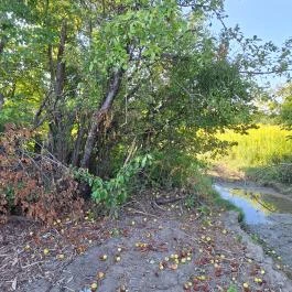 Szent István Kápolna Pápateszér - Egyéb