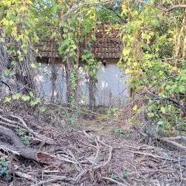 Szent István Kápolna Pápateszér - Külső kép