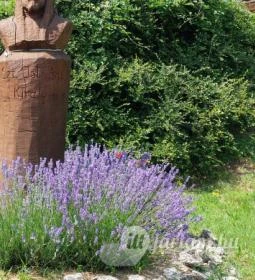 Szent István király