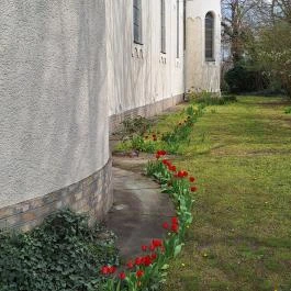 Szent István király templom, Csikéria - Külső kép