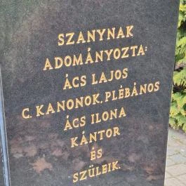 Szent István szobor, Szany - Egyéb