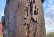 Szent István szobor Szigliget