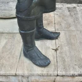 Szent István Szűz Mária kegyeibe ajánlja Magyarországot, Bakonyszentkirály - Egyéb