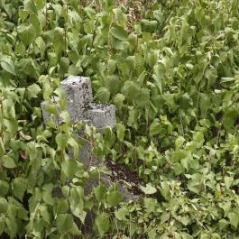 Szent Iván-kápolna, Ábrahámhegy - Egyéb