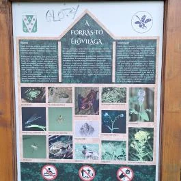 Szent Jakab-forrás, Vászoly - Egyéb