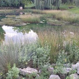 Szent Jakab-forrás, Vászoly - Külső kép