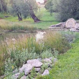 Szent Jakab-forrás, Vászoly - Külső kép