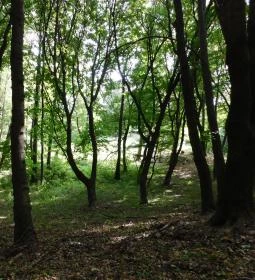 Szent Jakab kolostor