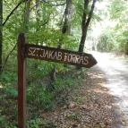 Szent Jakab kolostor Sáska - 