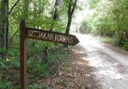 Szent Jakab kolostor Sáska