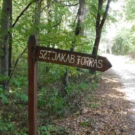 Szent Jakab kolostor, Sáska - 