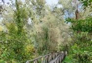 Szent Jakab Sétány Dabas