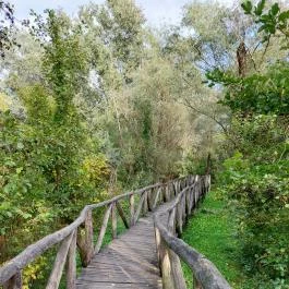 Szent Jakab Sétány Dabas - Külső kép