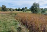 Szent Jakab Sétány Dabas