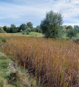 Szent Jakab Sétány