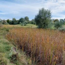 Szent Jakab Sétány Dabas - Külső kép