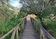 Szent Jakab Sétány Dabas