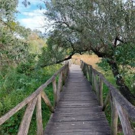 Szent Jakab Sétány Dabas - Külső kép