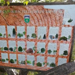 Szent Jakab Sétány Dabas - Egyéb