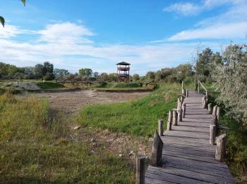 Szent Jakab Sétány Dabas