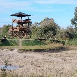 Szent Jakab Sétány Dabas - Külső kép
