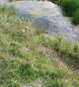 Szent Jakab Sétány