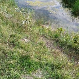 Szent Jakab Sétány Dabas - Külső kép