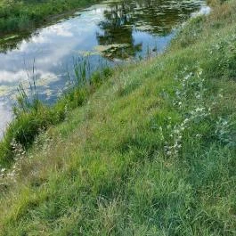 Szent Jakab Sétány Dabas - Külső kép