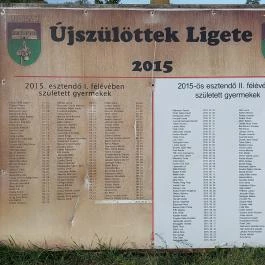 Szent Jakab Sétány Dabas - Egyéb