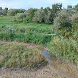 Szent Jakab Sétány Dabas - Külső kép