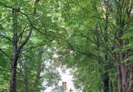 Szent Jakab-templom Vászoly