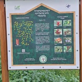 Szent Jakab-templom Vászoly - Egyéb