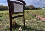 Szent Janka forrás Gic