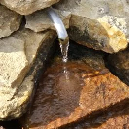 Szent Janka forrás, Gic - Egyéb