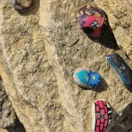 Szent Janka forrás, Gic - Egyéb