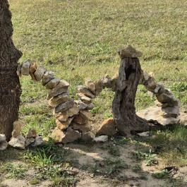 Szent Janka forrás, Gic - Egyéb