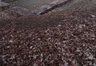 Szent Kereszt pálos templomrom Kesztölc