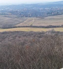 Szent László-kilátó és kápolna