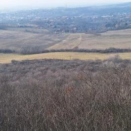 Szent László-kilátó és kápolna Mogyoród - Külső kép