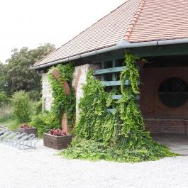 Szent László Nemzeti Emlékhely Somogyvár - Külső kép