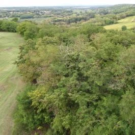 Szent László Nemzeti Emlékhely Somogyvár - Külső kép