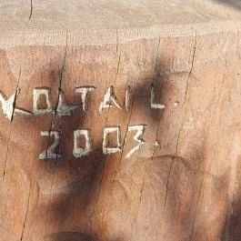 Szent Lőrinc Püspökhatvan - Egyéb