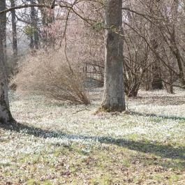 Szent Mauríciusz Monostor, Bakonybél - Külső kép