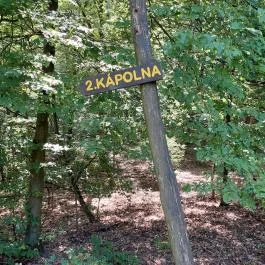 Szent Mihály erdei kápolna, Visegrád - Egyéb