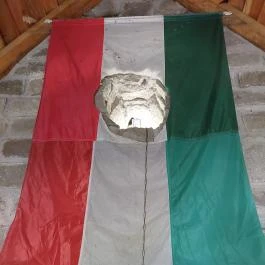 Szent Mihály erdei kápolna, Visegrád - Egyéb