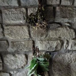 Szent Mihály erdei kápolna, Visegrád - Egyéb