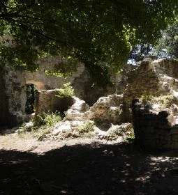 Szent Mihály pálos kolostorrom