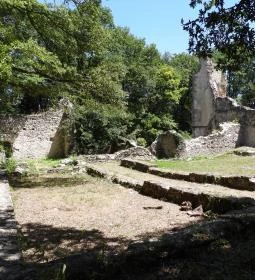 Szent Mihály pálos kolostorrom