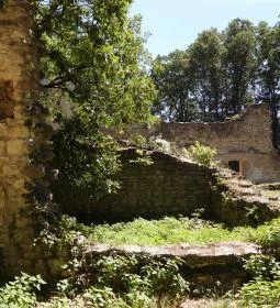 Szent Mihály pálos kolostorrom